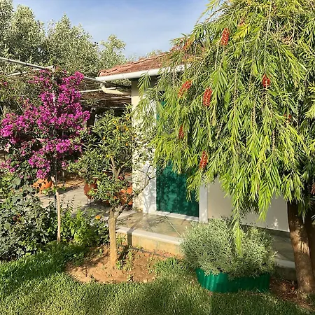 Marina Appartement *