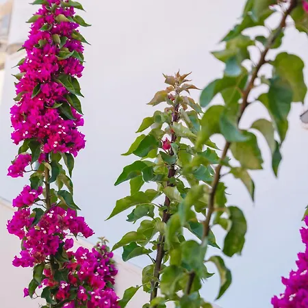 Appartement Marina Lefkáda