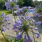 Daire Marina Lefkáda