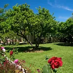 Marina Apartmán Lefkáda
