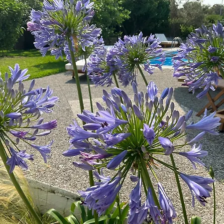 Apartman Marina Lefkáda