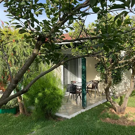 Apartman Marina