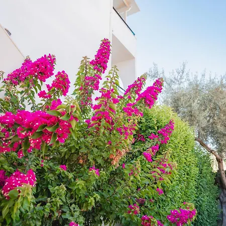 Marina Apartman Lefkáda