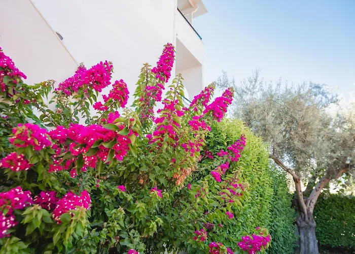 Marina Apartamento Lefkáda